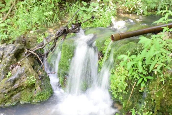 Troublesome Hollow Primitive Campsites Picture 4