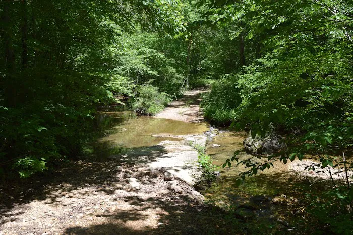 Troublesome Hollow Primitive Campsites Picture 6