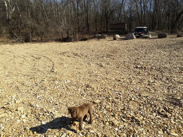 Sinking Creek Campground Picture 3