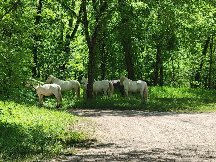 Round Spring Campground Picture 1