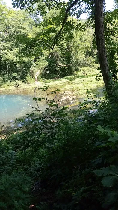 Round Spring Campground Picture 8