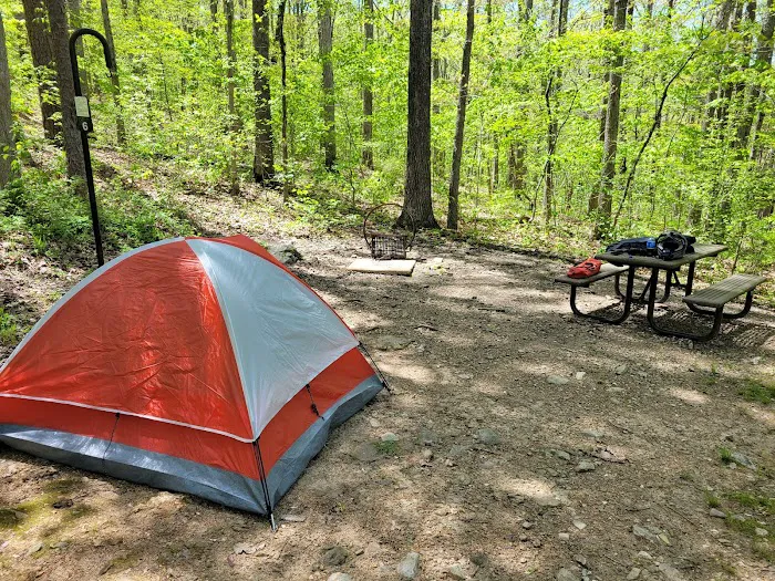Round Spring Campground Picture 7