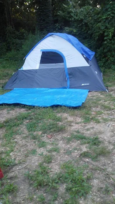 Jerktail Landing Campground Picture 1