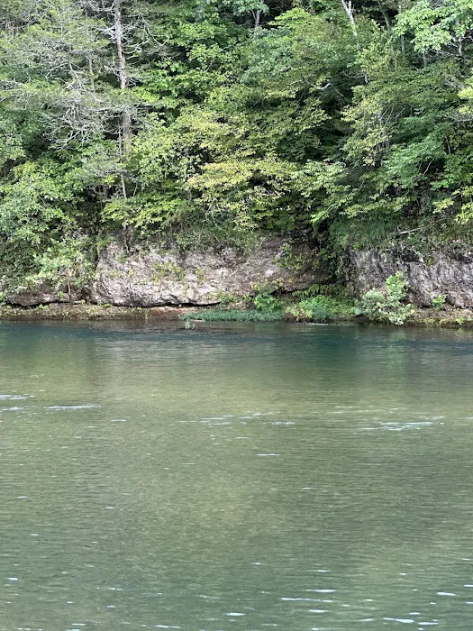 Jerktail Landing Campground Picture 4