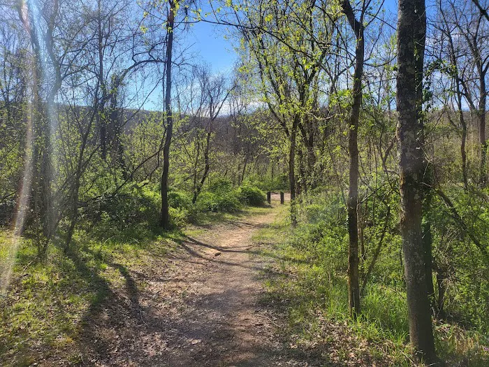 Jerktail Landing Campground Picture 6