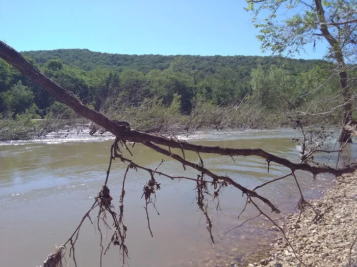 Jerktail Landing Campground Picture 8