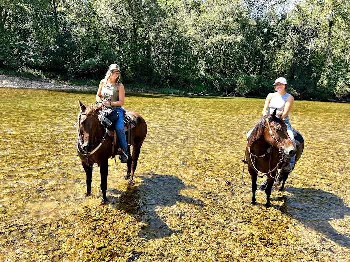 Old Desperado Ranch Picture 17