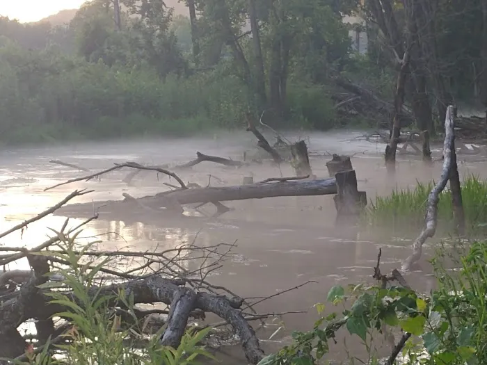 Powder Mill Campground Picture 6