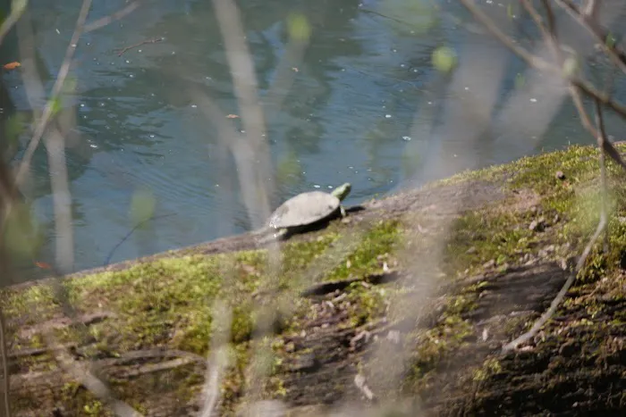 Powder Mill Campground Picture 9