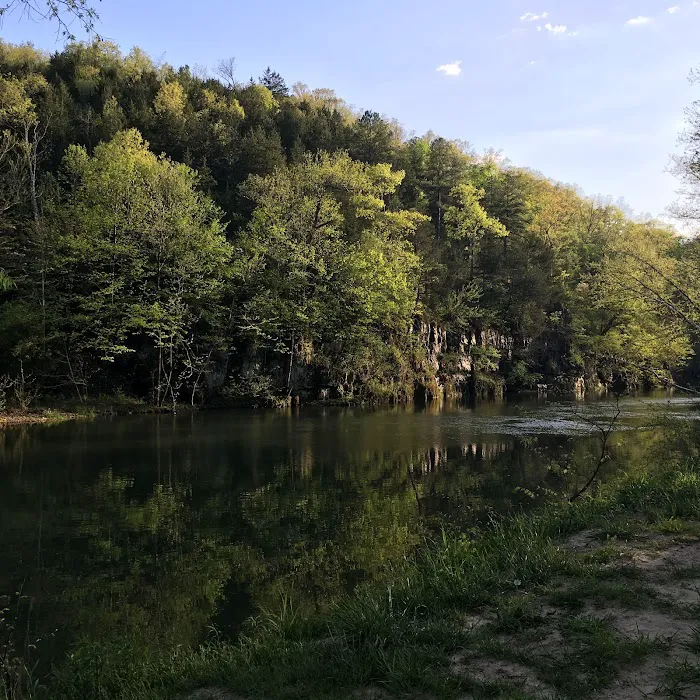 Cedargrove Campground Picture 10