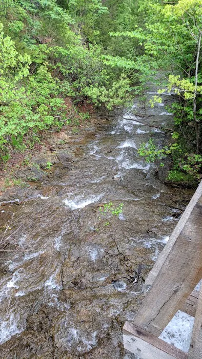 McCormack Lake Campground Picture 7