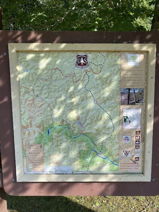 McCormack Lake Campground Picture 10