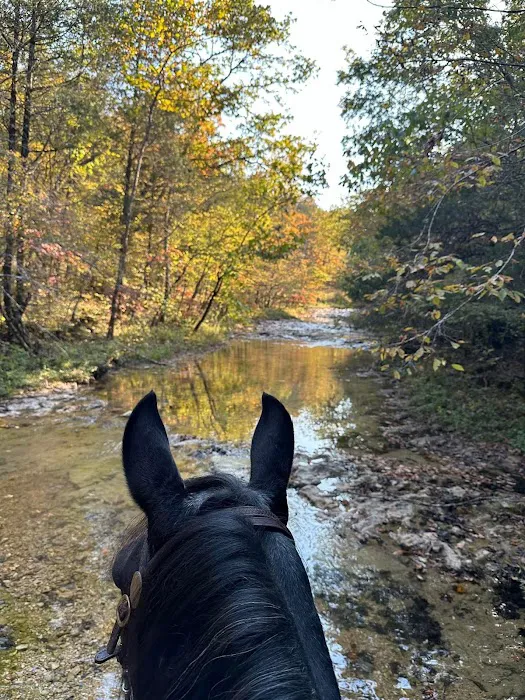 Shawnee Creek Horse Camp Picture 2