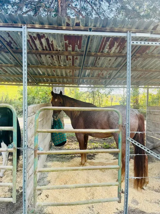 Shawnee Creek Horse Camp Picture 5