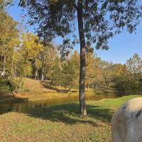 Shawnee Creek Horse Camp ico