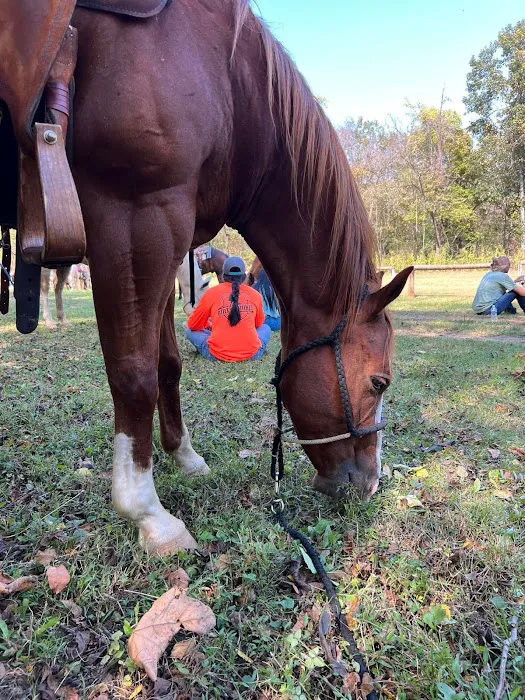 Shawnee Creek Horse Camp Picture 4