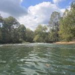 Whites Creek Float Camp