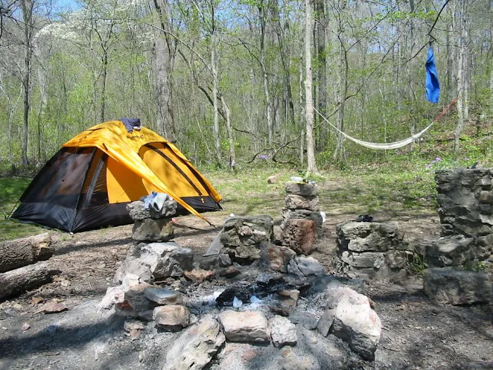 Bliss Spring Campground Picture 1