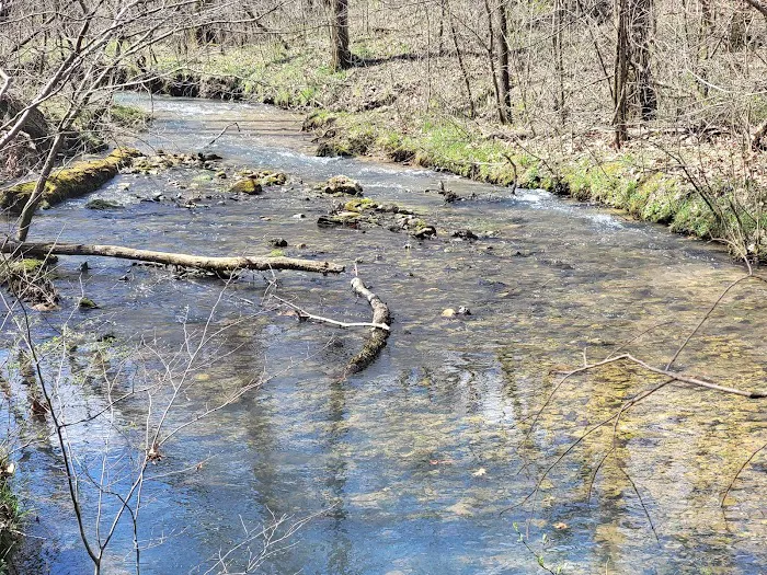 Bliss Spring Campground Picture 10