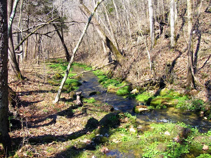 Bliss Spring Campground Picture 5