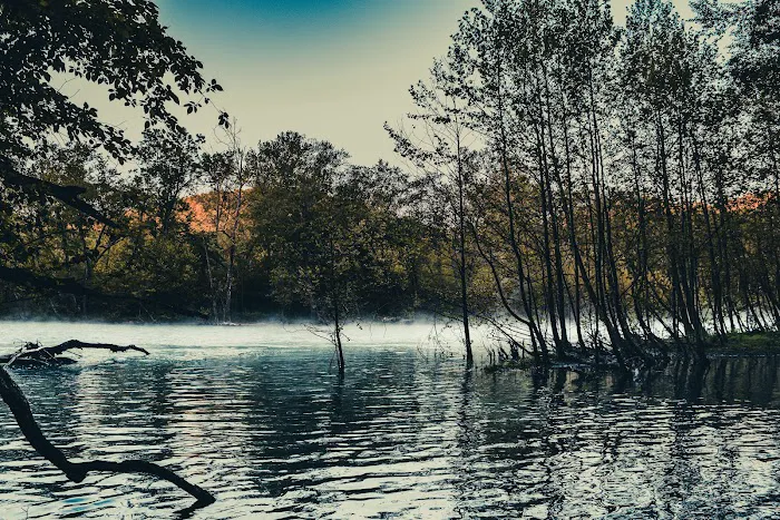 Bliss Spring Campground Picture 3