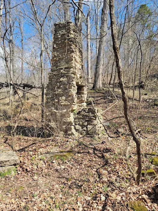 Bliss Spring Campground Picture 9