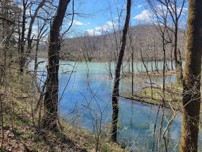 Bliss Spring Campground Picture 8