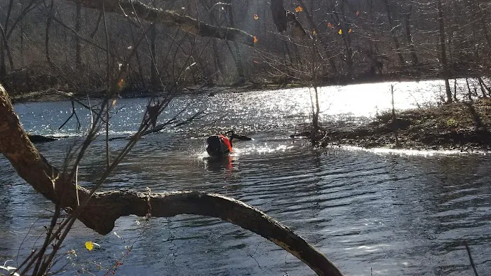 Bliss Spring Campground Picture 2