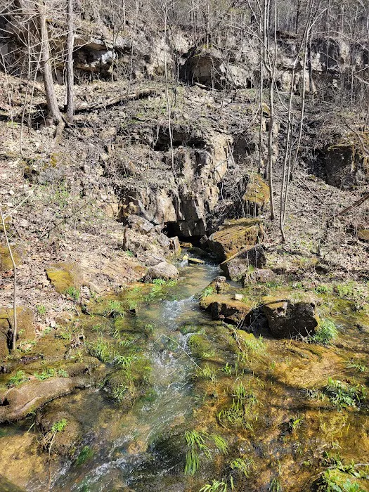 Bliss Spring Campground Picture 7