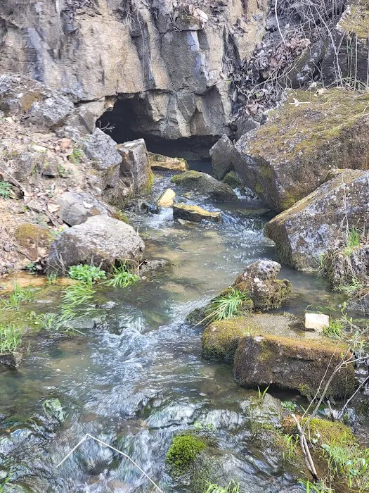 Bliss Spring Campground Picture 4