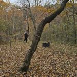 Horseshoe Bend Float Camp