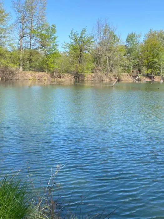 Holland's Lodge Picture 3