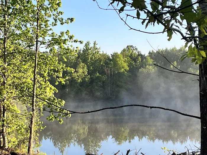 Turtle Lodge Campground & RV Picture 8