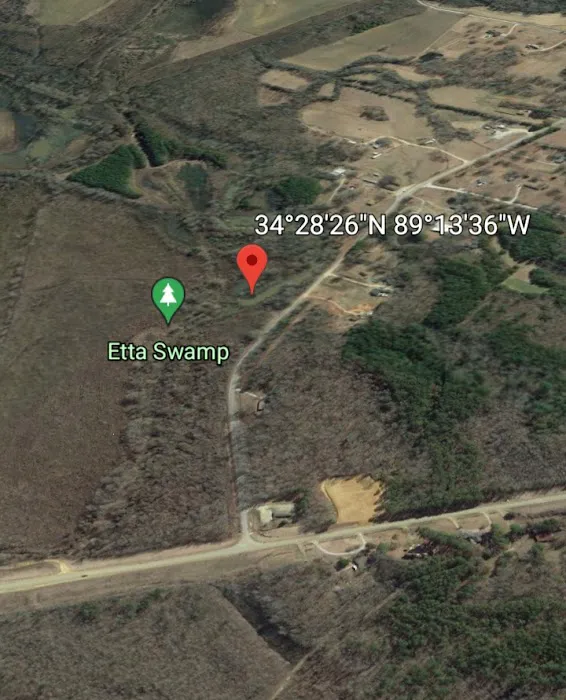 Etta Swamp Picture 5