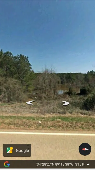 Etta Swamp Picture 1