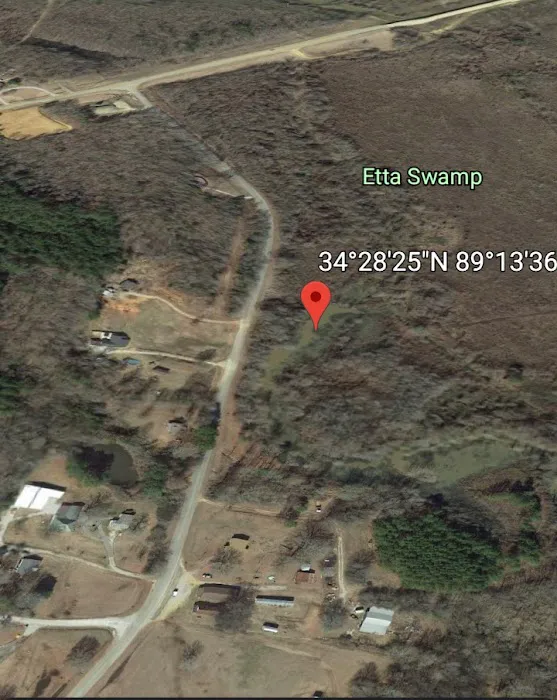 Etta Swamp Picture 4