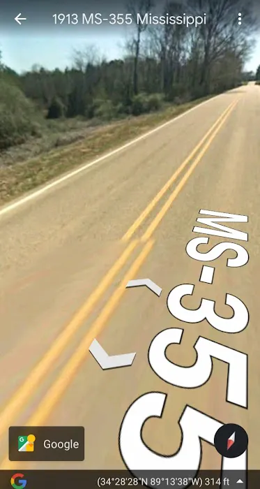 Etta Swamp Picture 2