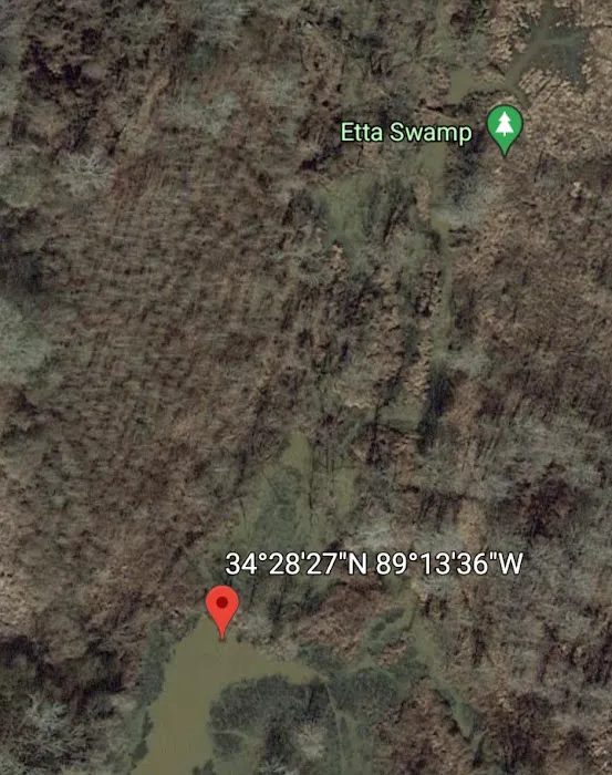Etta Swamp Picture 7