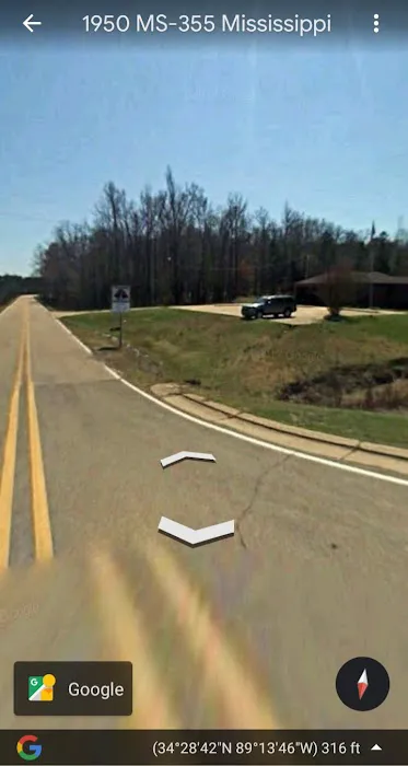 Etta Swamp Picture 6