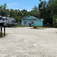 Camp Salty Turtle ico