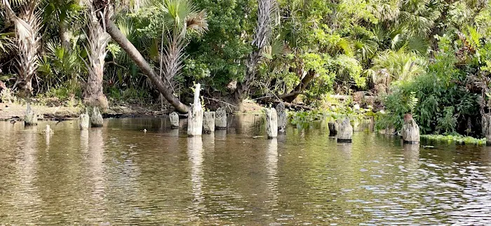 Buffalo Tram Picture 7