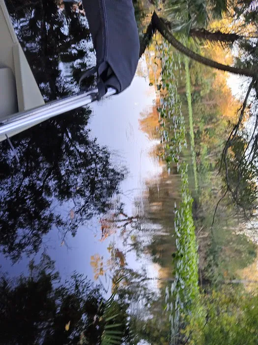 Buffalo Tram Picture 9