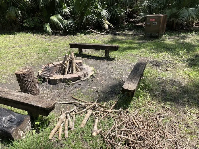 Buffalo Tram Picture 8