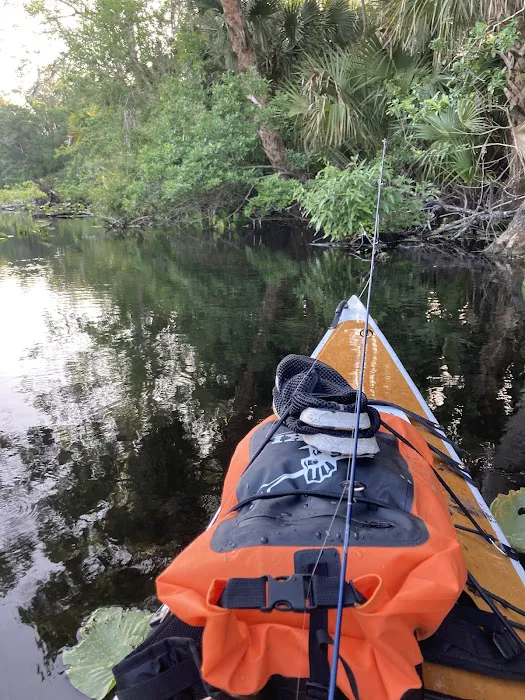 Buffalo Tram Picture 4