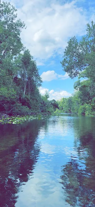 Buffalo Tram Picture 3