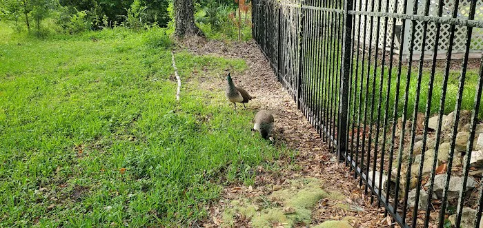 Crews Adventures Picture 3