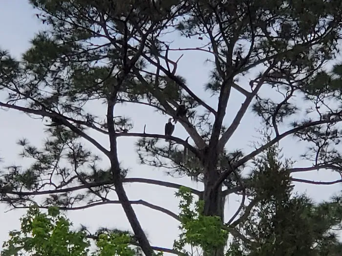 Crews Adventures Picture 1