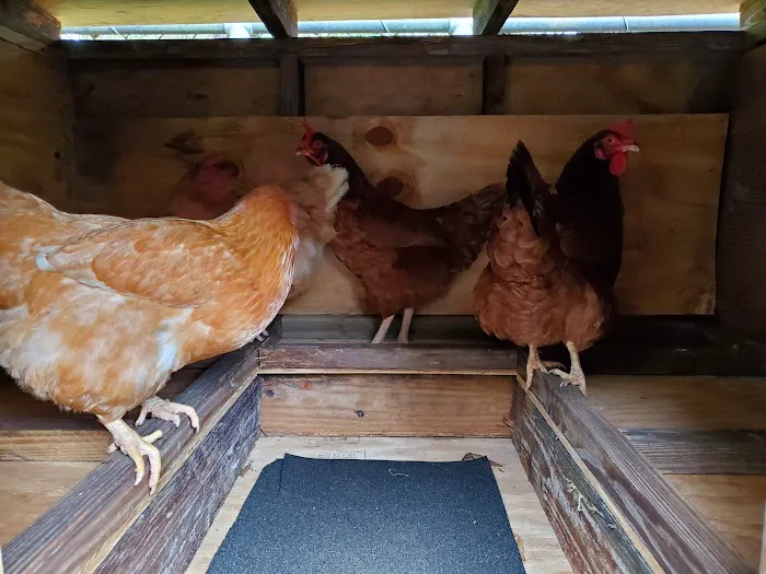 Crews Adventures Picture 4