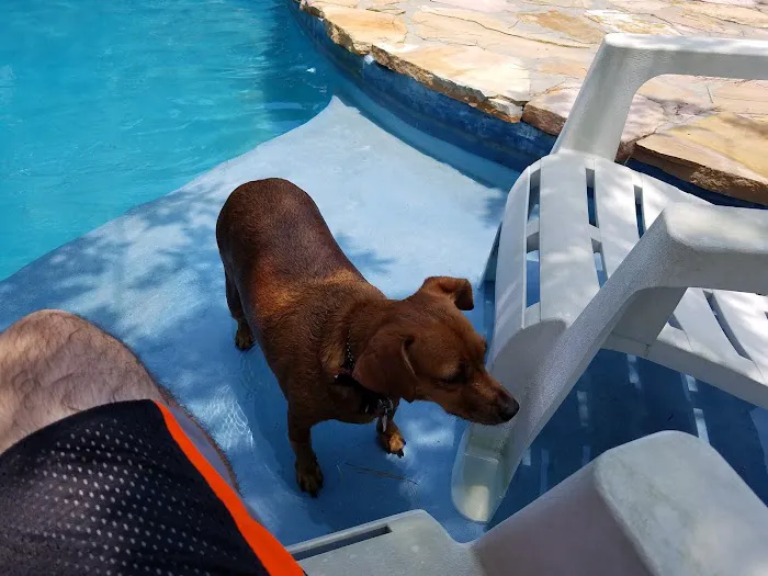 Crews Adventures Picture 6