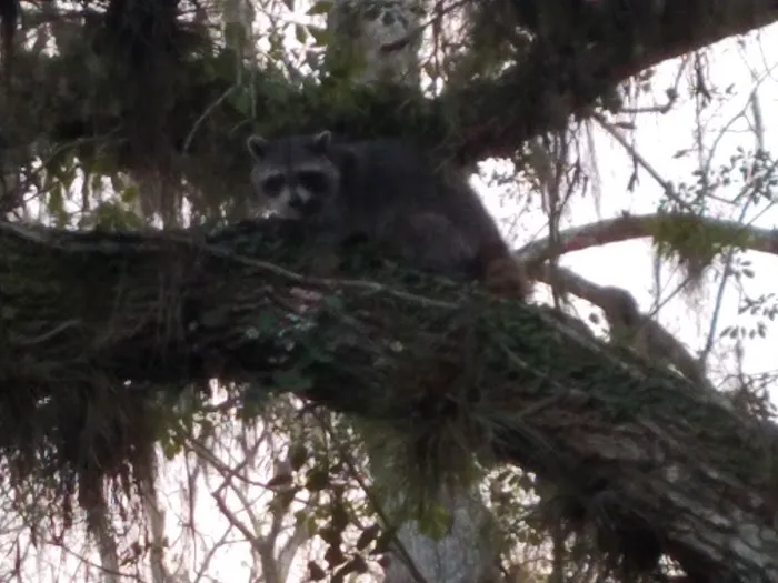 Crews Adventures Picture 9